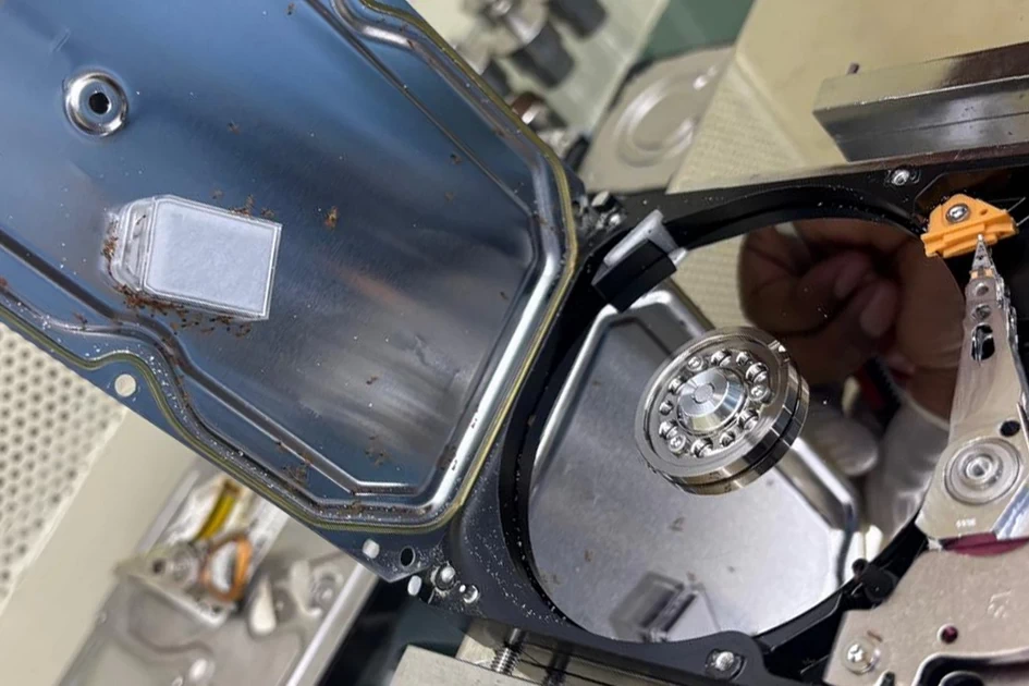 Ant inside the WD HDD for the paste or glue